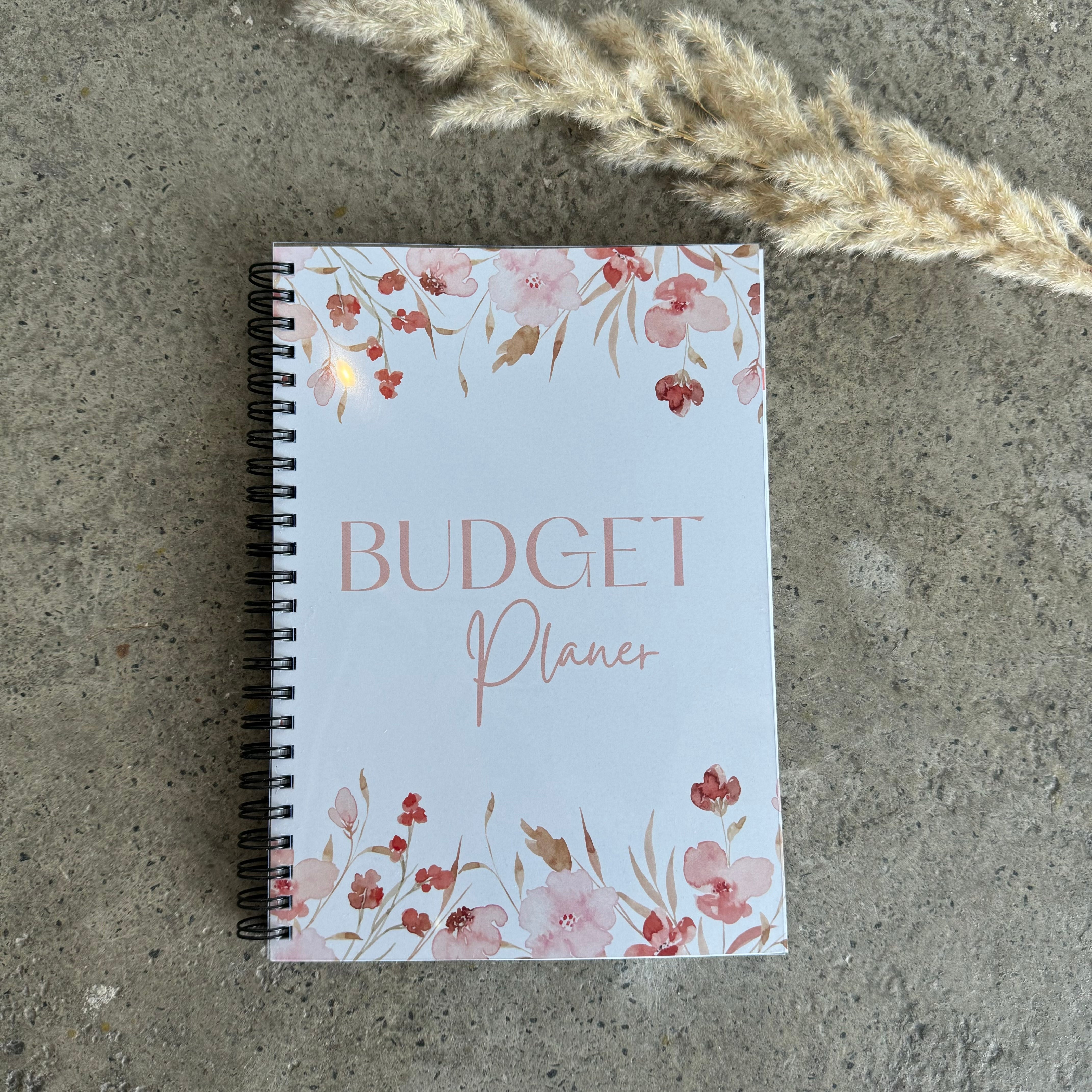 Budget Planer