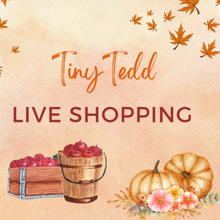 TinyTedd Live Shopping  - Slot inkl. Shopping Bag, Inhalt, Catering - 25.10.2025
