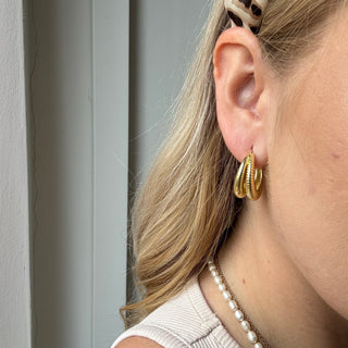 Double Oliv Creolen | Gold