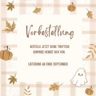 TinyTedd Boo Basket 🍂 Herbst Surprise Box | VORBESTELLUNG