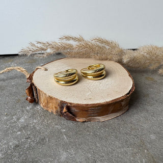 Double Oliv Creolen | Gold
