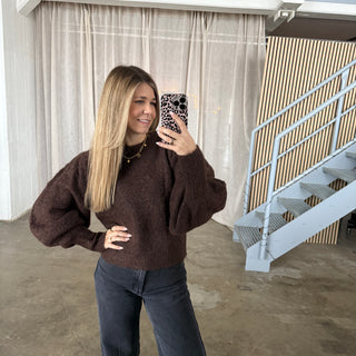 Strickpullover Trumpets - Dunkelbraun